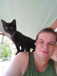kittymischief
